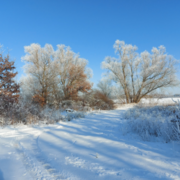 winterwanderung