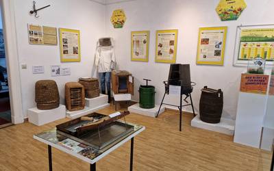 Bienenausstellung im Kreismuseum