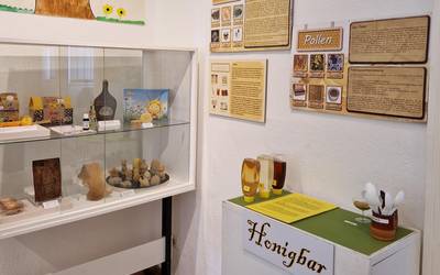 Bienenausstellung im Kreismuseum