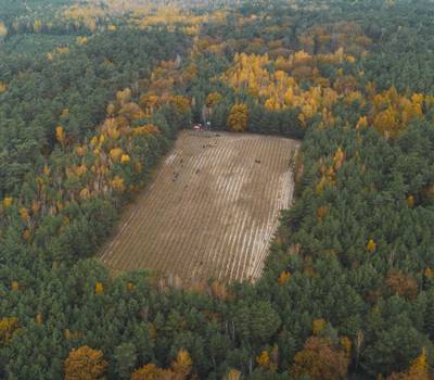 Die größere der beiden Flächen im Kommunalwald, die gestern aufgeforstet wurden